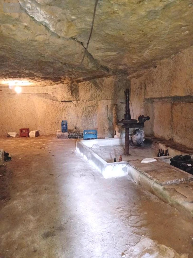 Maison a vendre Saint-Germain-sur-Vienne 37500 Indre-et-Loire 130 m2 5 pièces 168000 euros