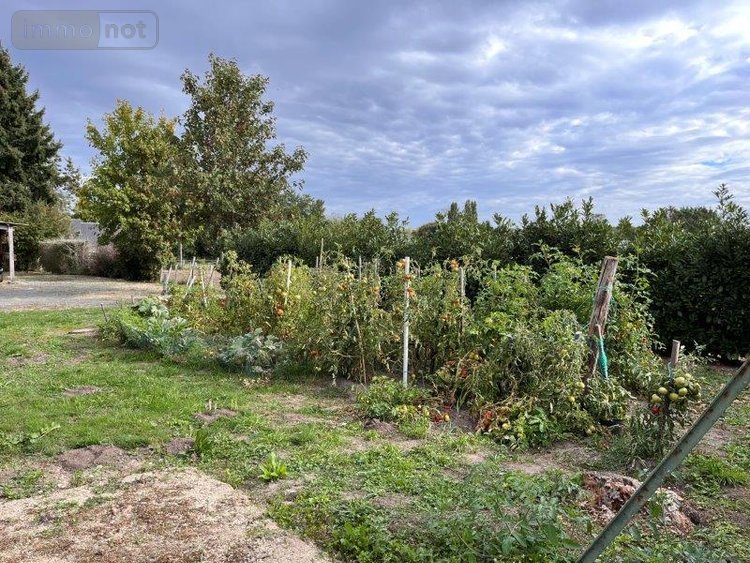 Terrain a batir a vendre Pernay 37230 Indre-et-Loire 1116 m2  89000 euros