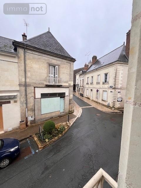 Location appartement Luynes 37230 Indre-et-Loire 39 m2 2 pièces 480 euros