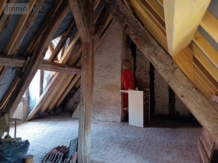 Maison a vendre Chaumont-sur-Loire 41150 Loir-et-Cher 42 m2 2 pièces 54500 euros