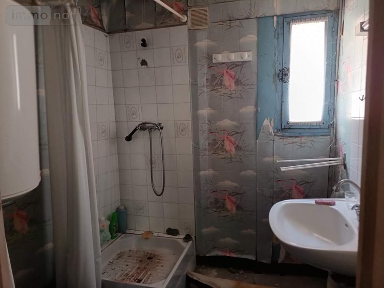 Maison a vendre Chaumont-sur-Loire 41150 Loir-et-Cher 42 m2 2 pièces 54500 euros