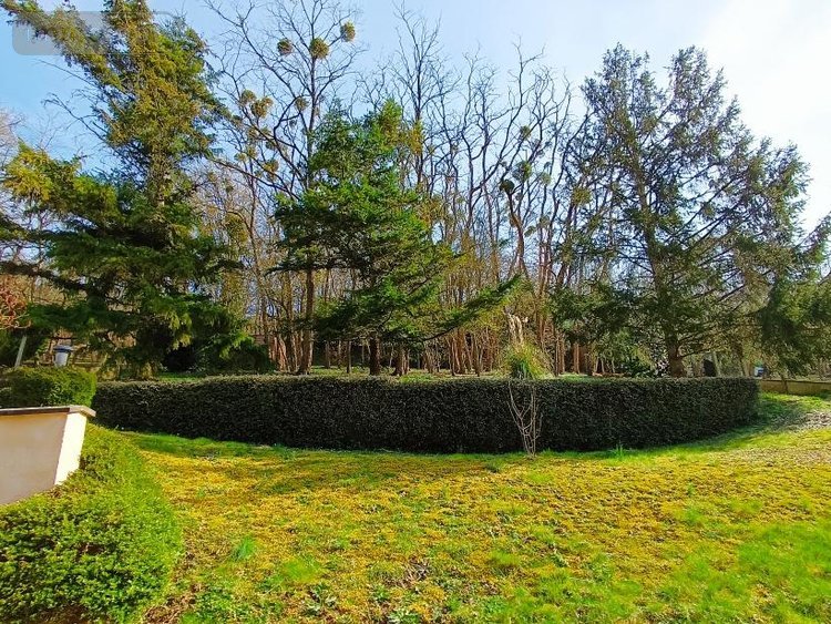 Maison a vendre Mazangé 41100 Loir-et-Cher 103 m2 4 pièces 156000 euros