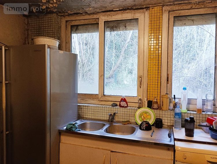 Maison a vendre Pezou 41100 Loir-et-Cher 50 m2 2 pièces 34000 euros