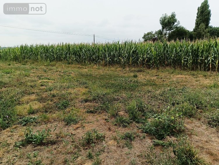 Maison a vendre Morée 41160 Loir-et-Cher 101 m2 5 pièces 145600 euros