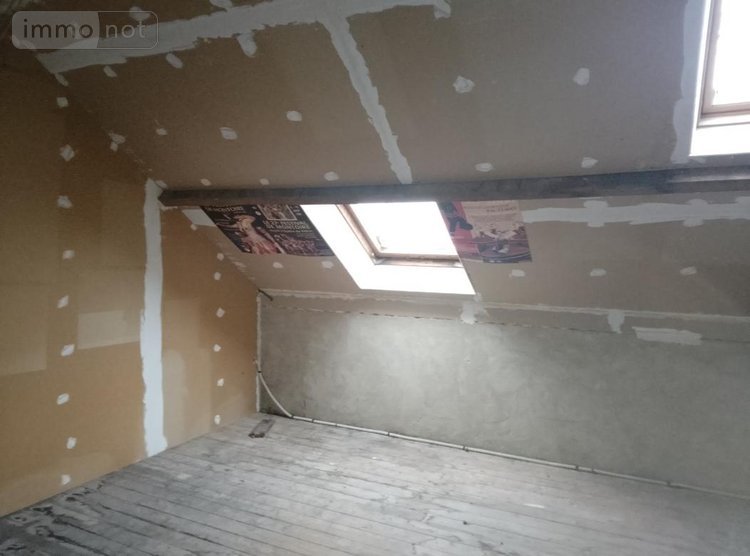 Maison a vendre Savigny-sur-Braye 41360 Loir-et-Cher 91 m2 4 pièces 59000 euros