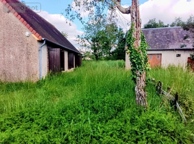 Maison a vendre Rahart 41160 Loir-et-Cher 77 m2 3 pièces 72000 euros