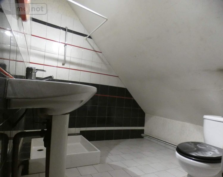 Immeuble a vendre Château-Renard 45220 Loiret 138 m2  91250 euros