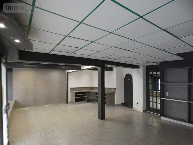 Immeuble a vendre Château-Renard 45220 Loiret 138 m2  91250 euros