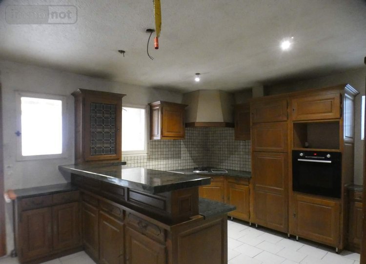 Immeuble a vendre Château-Renard 45220 Loiret 138 m2  91250 euros