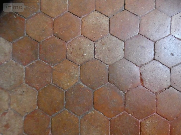 propriete a vendre Ferrières-en-Gâtinais 45210 Loiret 278 m2 10 pièces 390000 euros