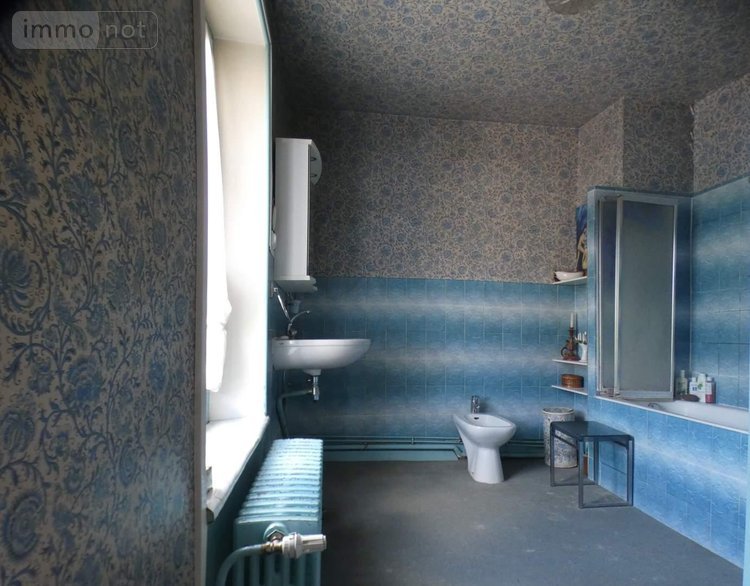 propriete a vendre Ferrières-en-Gâtinais 45210 Loiret 278 m2 10 pièces 390000 euros