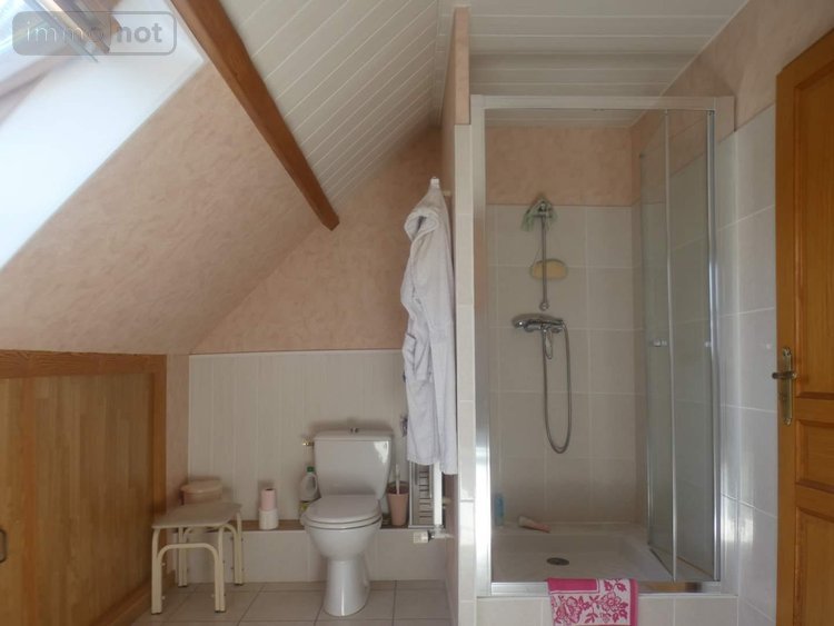 Maison a vendre Ferrières-en-Gâtinais 45210 Loiret 174 m2 7 pièces 319000 euros