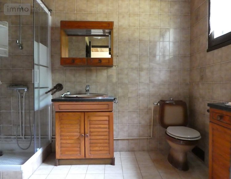 Maison a vendre La Selle-en-Hermoy 45210 Loiret 53 m2 2 pièces 49250 euros