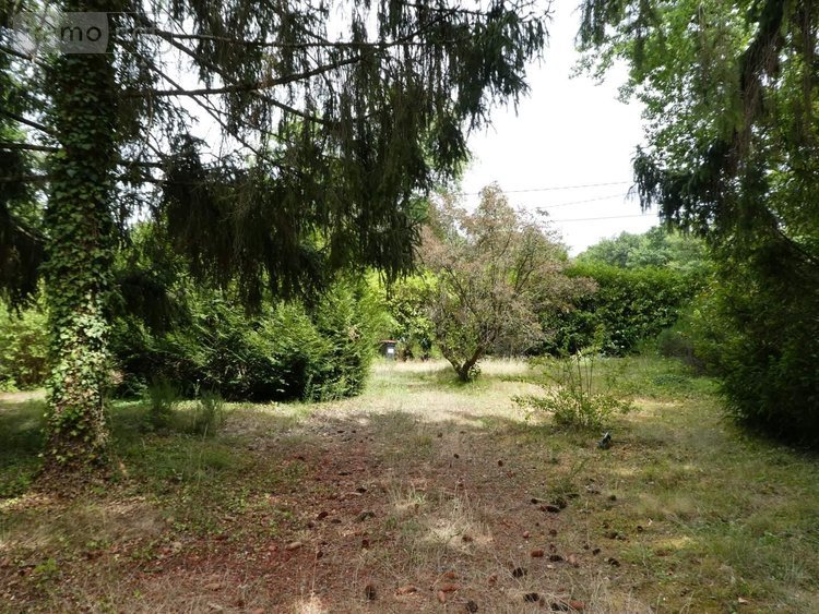 Maison a vendre La Selle-en-Hermoy 45210 Loiret 53 m2 2 pièces 49250 euros