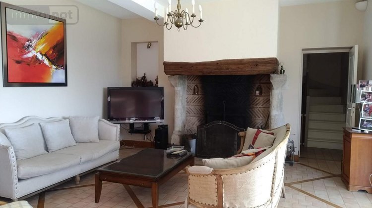 propriete a vendre Beaugency 45190 Loiret 360 m2 13 pièces 891400 euros