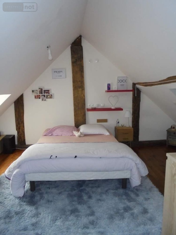 Maison a vendre Josnes 41370 Loir-et-Cher 374 m2 13 pièces 371500 euros