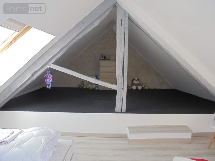 Maison a vendre Josnes 41370 Loir-et-Cher 374 m2 13 pièces 371500 euros