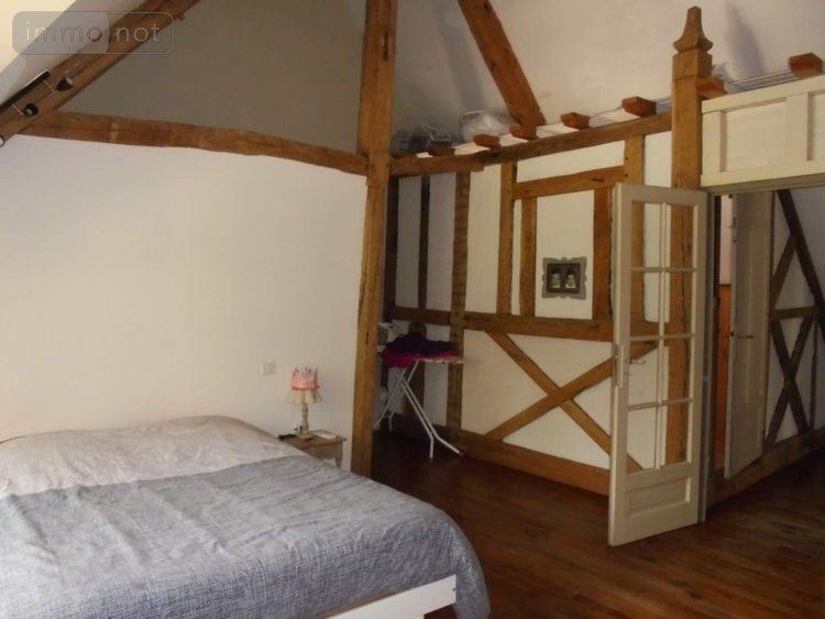 Maison a vendre Josnes 41370 Loir-et-Cher 374 m2 13 pièces 371500 euros