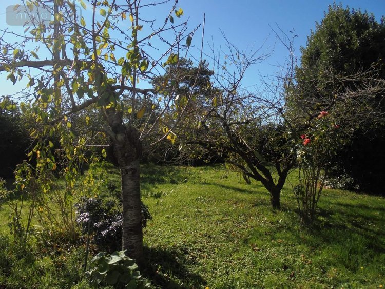 Maison a vendre Beaugency 45190 Loiret 126 m2 6 pièces 220600 euros