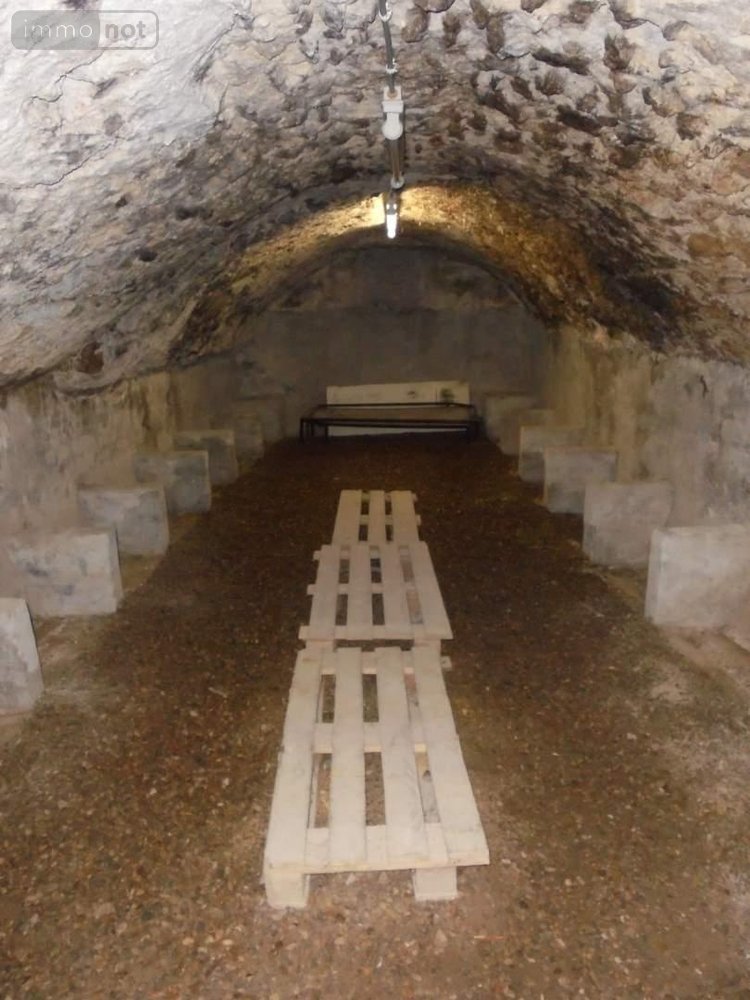 Fonds et murs commerciaux a vendre Beaugency 45190 Loiret 203 m2  210200 euros