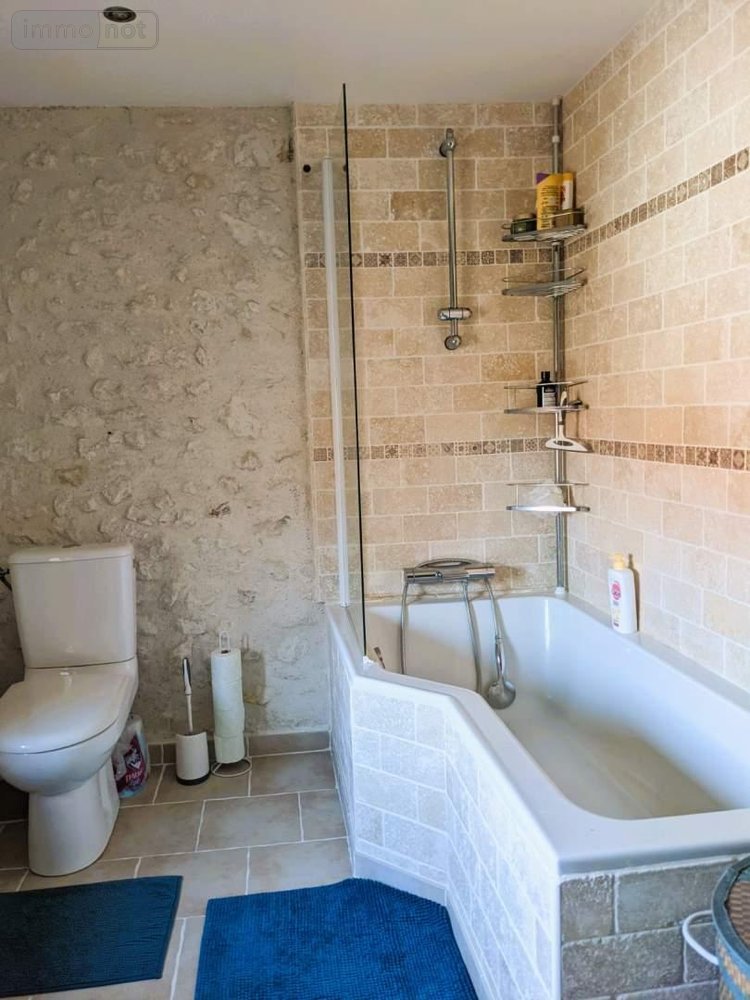 Maison a vendre Beaugency 45190 Loiret 265 m2 10 pièces 449000 euros