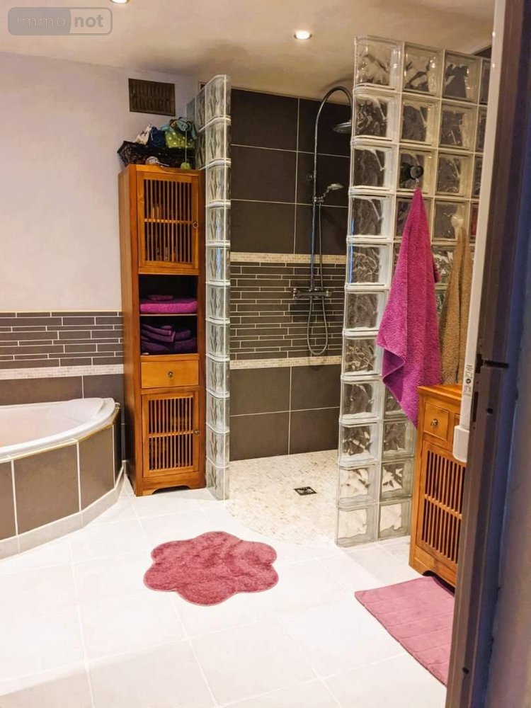 Maison a vendre Beaugency 45190 Loiret 265 m2 10 pièces 449000 euros