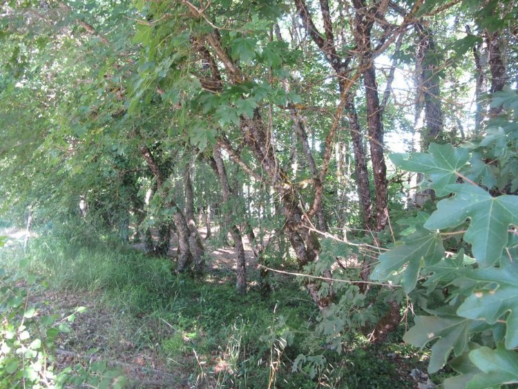 Maison a vendre Laburgade 46230 Lot 139 m2 5 pièces 324760 euros