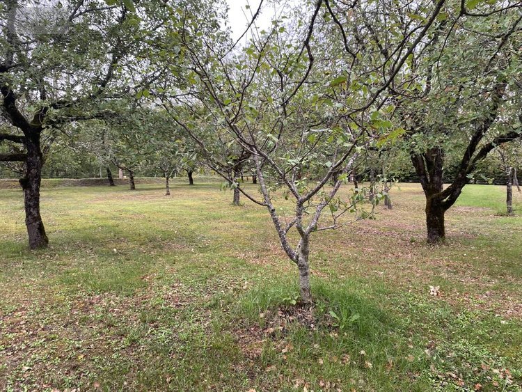 Maison a vendre Fontanes 46230 Lot 175 m2 5 pièces 288500 euros