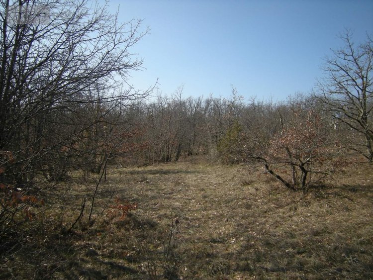 Terrain a batir a vendre Cieurac 46230 Lot 1575 m2  37100 euros