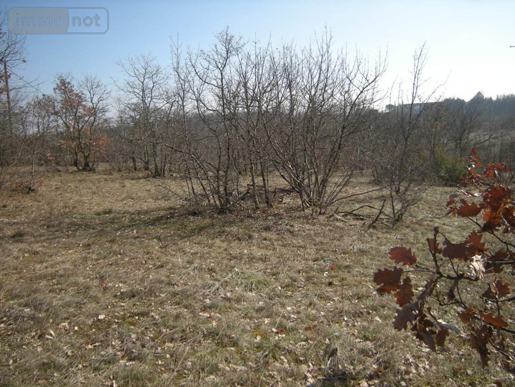Terrain a batir a vendre Cieurac 46230 Lot 1575 m2  37100 euros