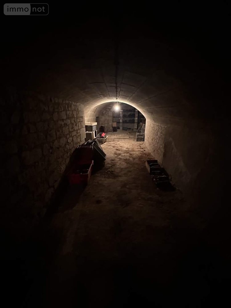 Maison a vendre Loudun 86200 Vienne 264 m2 8 pièces 388514 euros