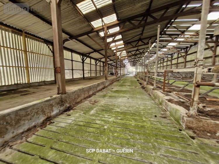 propriete a vendre Domfront-en-Poiraie 61700 Orne 169 m2 6 pièces 392200 euros