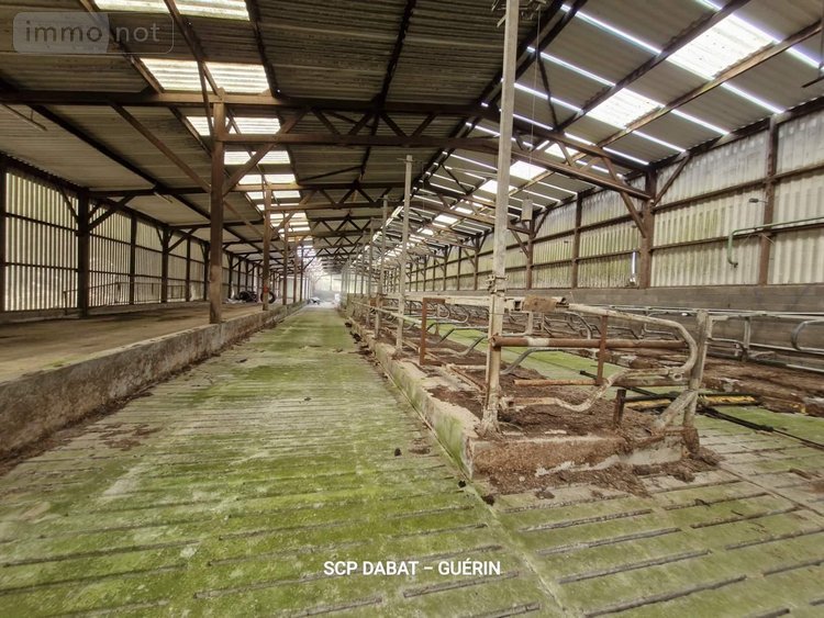 propriete a vendre Domfront-en-Poiraie 61700 Orne 169 m2 6 pièces 421600 euros