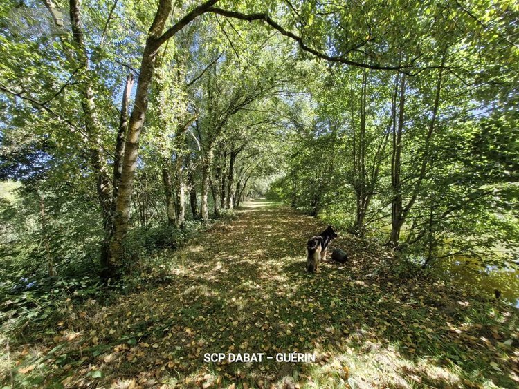 Maison a vendre Ger 50850 Manche 369 m2 13 pièces 706180 euros