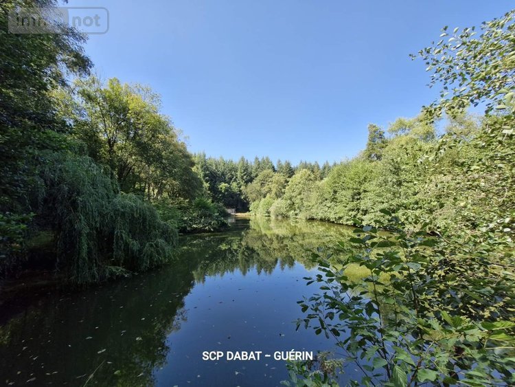 Maison a vendre Ger 50850 Manche 369 m2 13 pièces 706180 euros