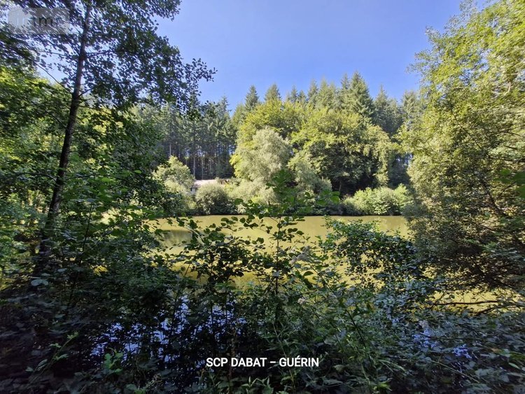 Maison a vendre Ger 50850 Manche 369 m2 13 pièces 706180 euros