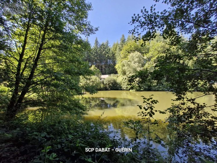 Maison a vendre Ger 50850 Manche 369 m2 13 pièces 706180 euros