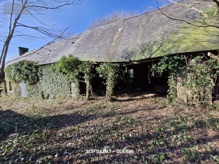 Maison a vendre Fougerolles-du-Plessis 53190 Mayenne 58 m2 2 pièces 84320 euros