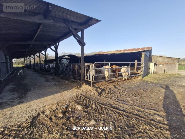 propriete a vendre Mortain-Bocage 50140 Manche 114 m2 5 pièces 364578 euros