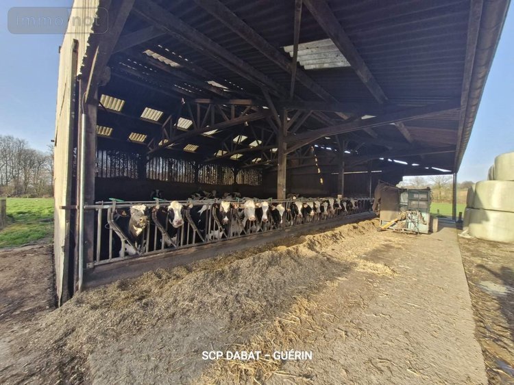 propriete a vendre Mortain-Bocage 50140 Manche 114 m2 5 pièces 364578 euros