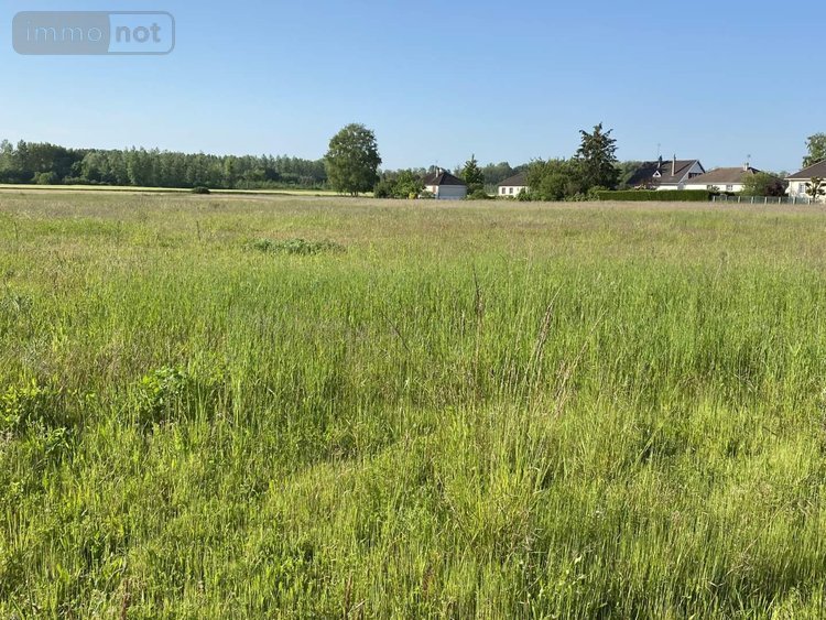 Terrain a batir a vendre Saint-Just-Sauvage 51260 Marne 2 m2  500305 euros