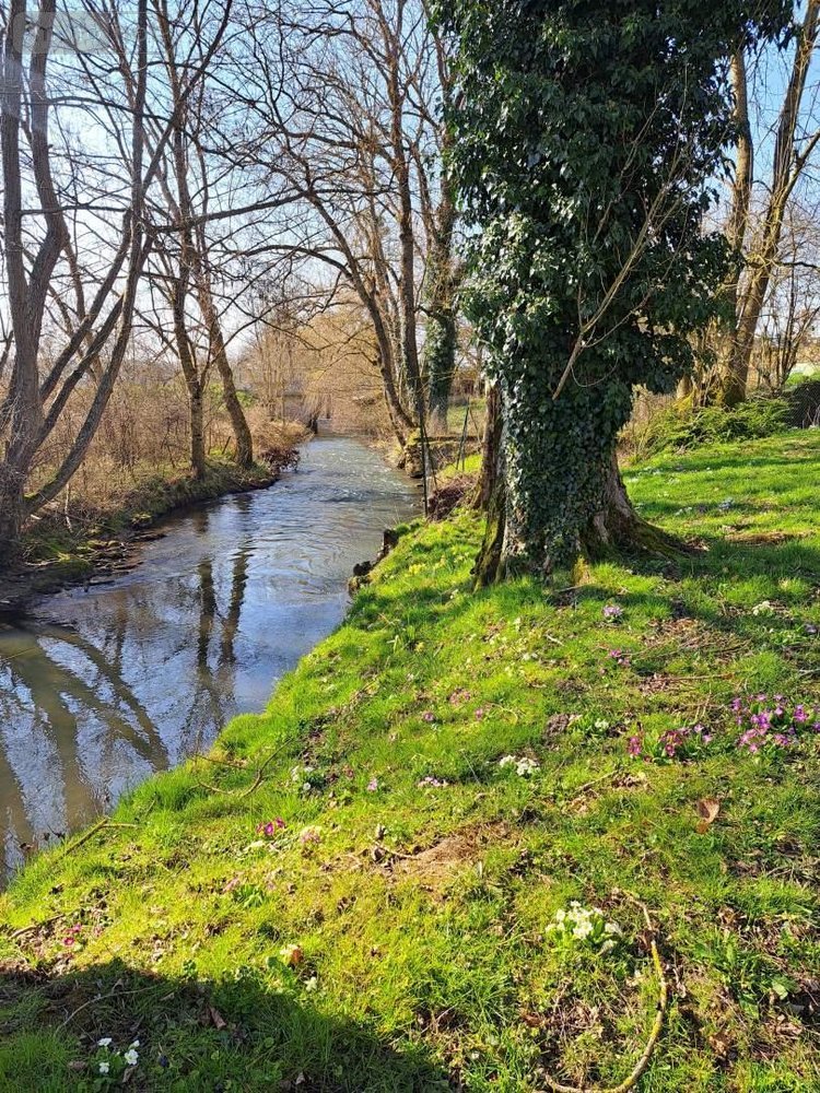 Maison a vendre Neuvy 51310 Marne 123 m2 4 pièces 209000 euros