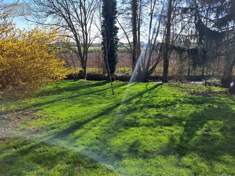 Maison a vendre Neuvy 51310 Marne 123 m2 4 pièces 209000 euros