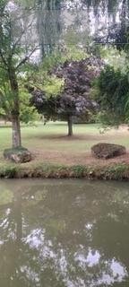 Maison a vendre Tréfols 51210 Marne 179 m2 7 pièces 261250 euros