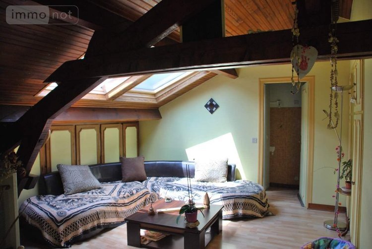 Immeuble a vendre Anglure 51260 Marne 510 m2  95850 euros