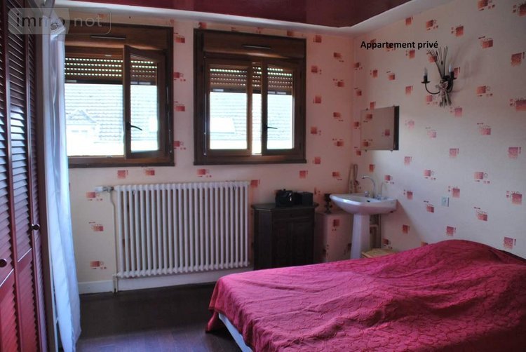 Immeuble a vendre Anglure 51260 Marne 510 m2  95850 euros