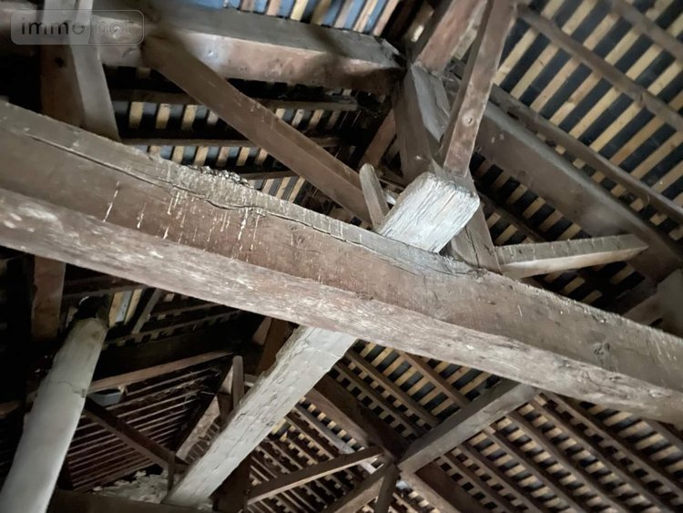 Immeuble a vendre Mayenne 53100 Mayenne 1193 m2  724500 euros