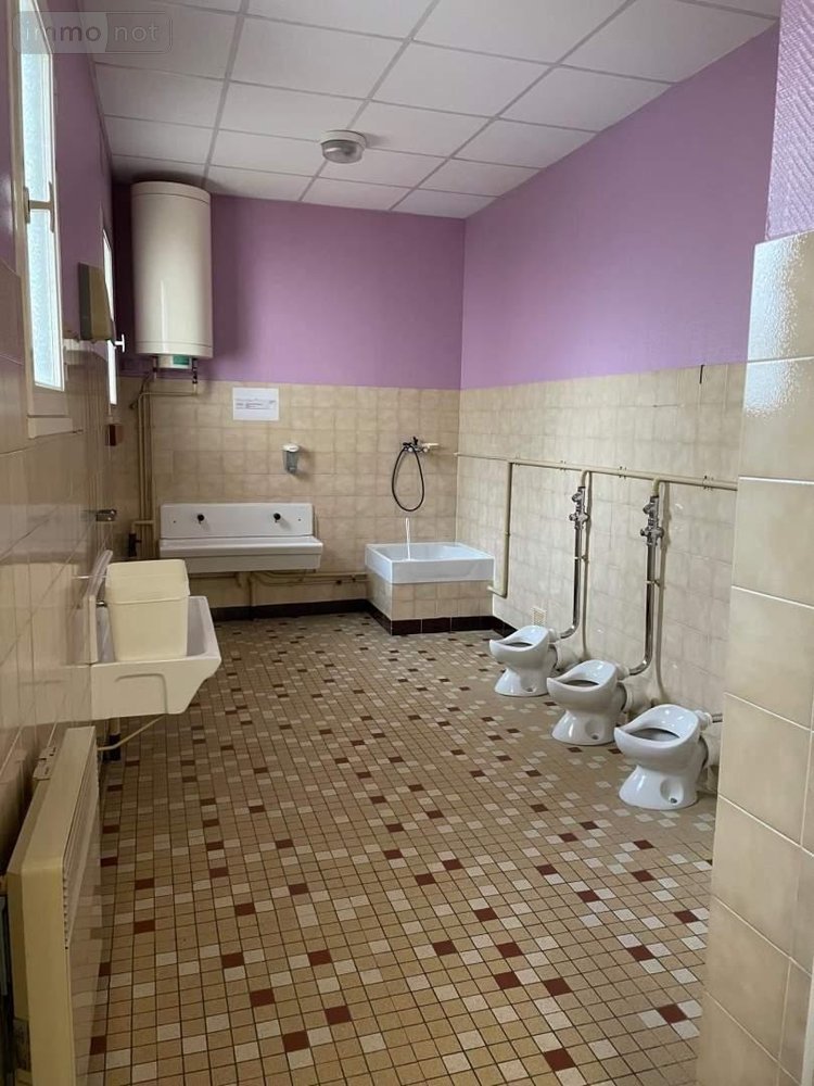 Immeuble a vendre Mayenne 53100 Mayenne 1193 m2  724500 euros