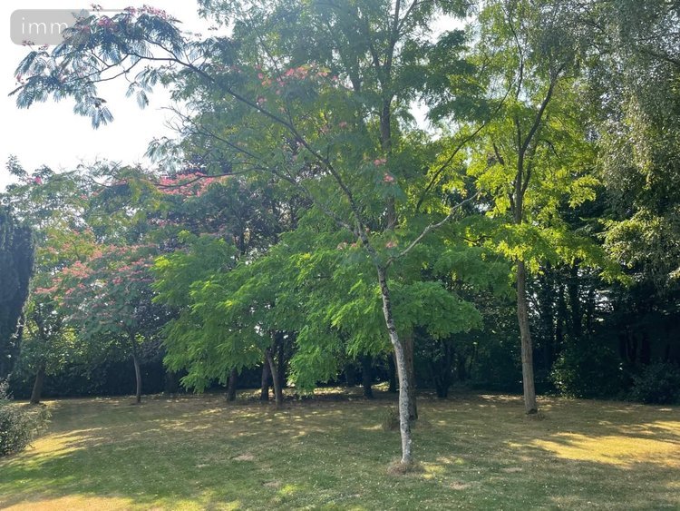 Maison a vendre Mayenne 53100 Mayenne 254 m2 6 pièces 360186 euros