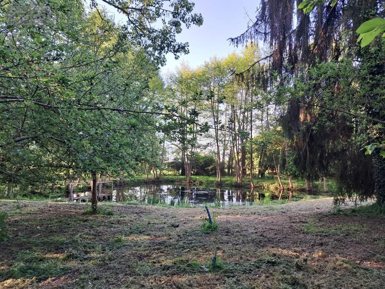 Terrains de loisirs bois etangs a vendre Craon 53400 Mayenne 34400 m2  115160 euros